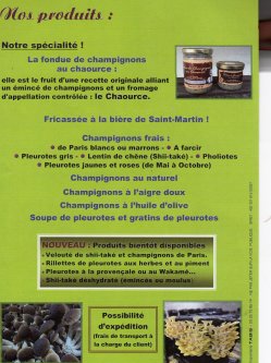 Les Champignons de Cussangy